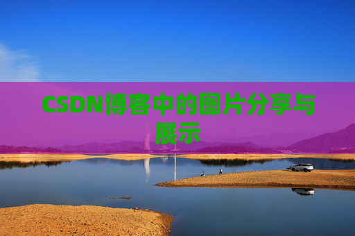 CSDN博客中的图片分享与展示